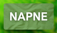 NAPNE.png