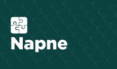 Banner Napne 2021